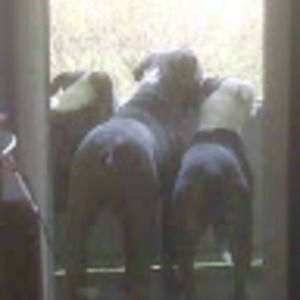 Meet your Posher, Carl